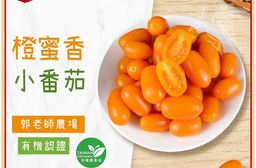 【禾鴻】現貨+預購 郭老師農場有機認證橙蜜香小番茄禮盒4斤/盒 (淨重不帶蒂頭出