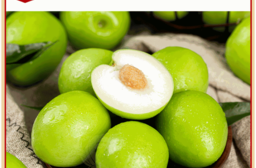 【禾鴻】燕巢頂級雪麗蜜棗禮盒12入裝/盒(單顆5兩以上)