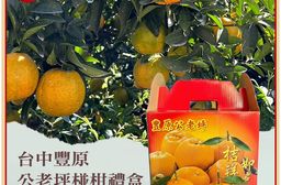 【禾鴻】台中豐原公老坪27A椪柑禮盒9斤/箱(21粒/箱_春節水果禮盒) 送禮嚴