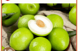 【禾鴻】燕巢頂級雪麗蜜棗禮盒16入裝/盒(單顆4-4.9兩)