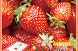 【鮮果爺爺】苗栗壢西坪帝王紅草莓1斤禮盒_4種等級任選_產履驗證 季節限定 送禮