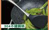 生活市集 7.5折! - 304不鏽鋼柄矽膠鍋鏟(1入)