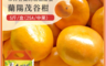 杰市優果 10.0折! - 宜蘭蘭陽茂谷柑中果禮盒5斤/盒(25A_春節水果禮盒) 柑橘界精品