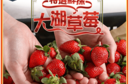 (預購商品)【享吃鮮果】草莓季 特選鮮採大湖草莓300g(一盒約24-28顆)