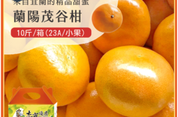 【杰市優果】宜蘭蘭陽茂谷柑小果禮盒10斤/箱 (23A_春節水果禮盒)