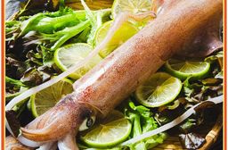 【鮮綠生活】野生船凍透抽(3隻/包) 花枝 小卷 大卷