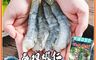 生活市集 7.3折! - 巨大泰坦無膨發白蝦仁450G(規格16/20)共2包免運