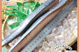 頂級白腹魚菲力魚排 200g