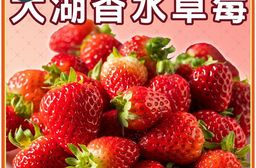 【家購網嚴選】大湖香水草莓1公斤(1~2號果)