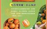 杰市優果 7.7折! - 預購 宜蘭蘭陽桶柑禮盒(春節水果禮盒)