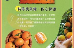 【杰市優果】預購 宜蘭蘭陽桶柑禮盒(春節水果禮盒)