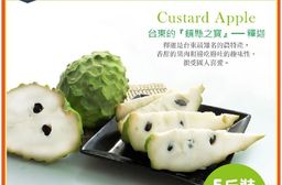 【家購網嚴選】台東鳳梨釋迦 大果 4～6粒5斤裝