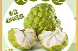 【禾鴻】台東優質大目釋迦10斤/箱(12-14顆/箱_小果)