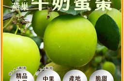 【雪莉朵辣嚴選】高雄燕巢牛奶蜜棗-中果（4斤/箱）