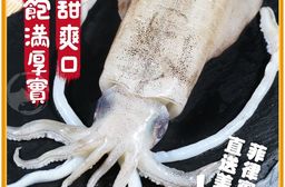 【勝崎生鮮】鮮脆活凍軟絲330g/1隻/包)