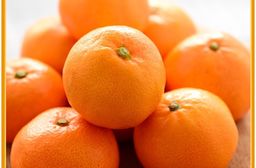 【果子禮】東勢25A-明正茂谷柑 5斤/箱（約15入）